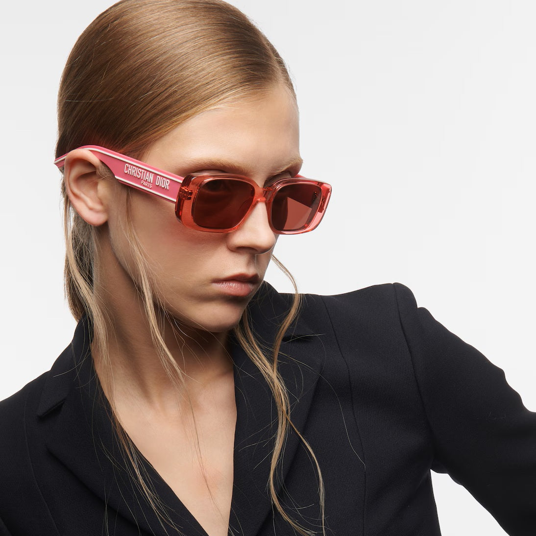 DIOR WILDIOR S2U 73D0