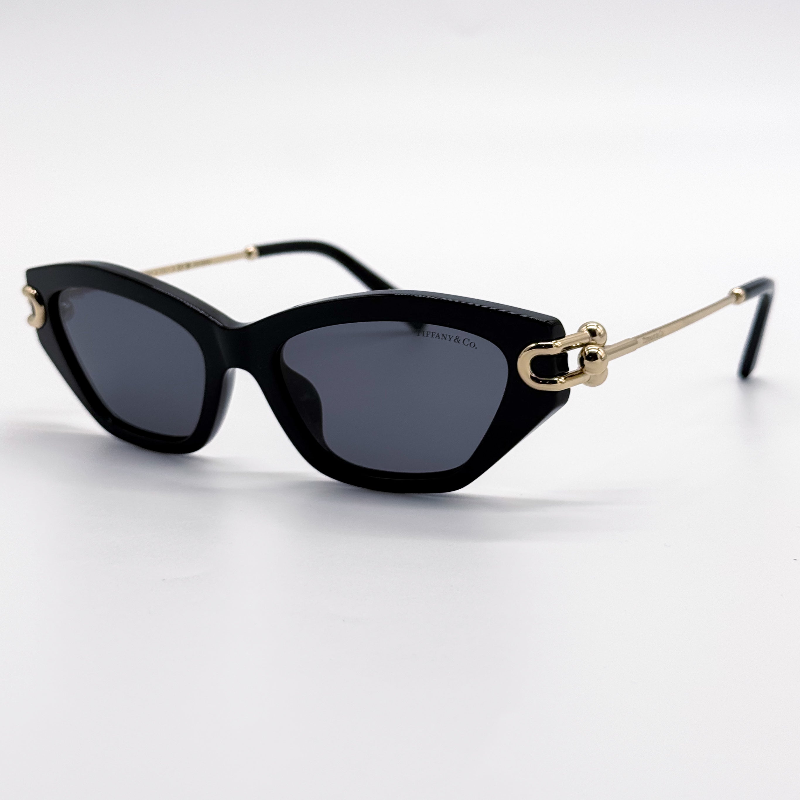 Tiffany & Co TF4231U 800181 Polarized